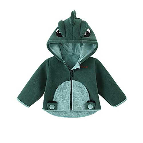 Volunboy Bebé Niños Chaqueta con Capucha de Forro Polar, Niñas Otoño Invierno Cremallera Sudaderas Abrigo de Dibujos Animados(3-4 años,Tamaño 110,Verde)