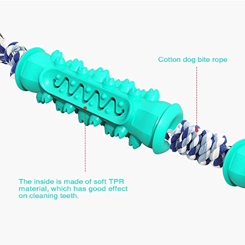 Os cães AnRuiBang com hastes molares de corda são usados para limpar seus dentes e aliviar sua depre