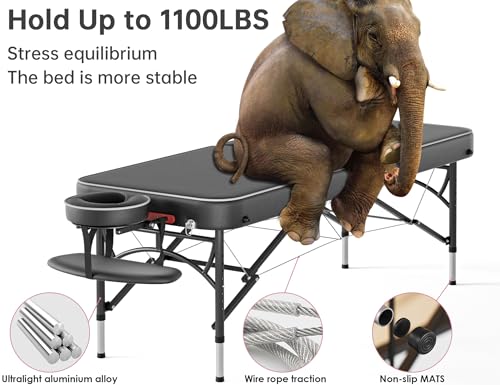Image of CLORIS 84 inch Professional Massage Table 2 Section Portable Hold Up to 1100LBS