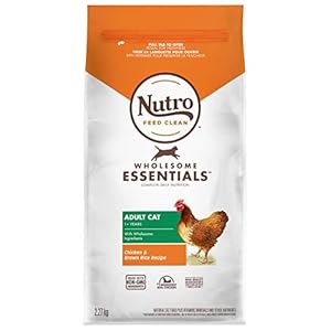 NUTRO Wholesome Essentials Indoor Adult Dry Cat Food, Chicken & Brown Rice Recipe, 2.27kg (Pack of 1)
