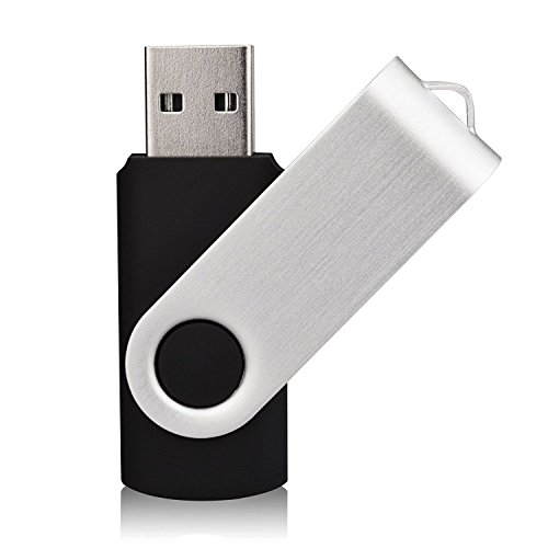 256MB Flash Pen Drive USB 2.0 Swivel design (BTG-SW) [Electronics]