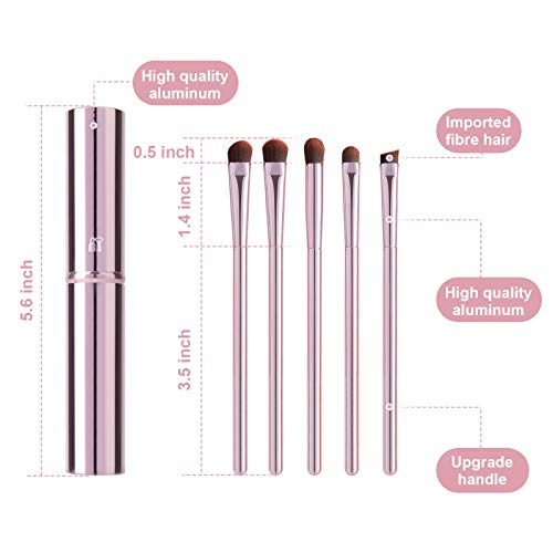 YUE SHEN NAN 5Pcs Eye Makeup Brush Set, Portable Eyeshadow brushes, Eyeliner Brush, Angled Brush Eyebrow Brushes Lip Brush Small Concealer Brush with Case (pink)