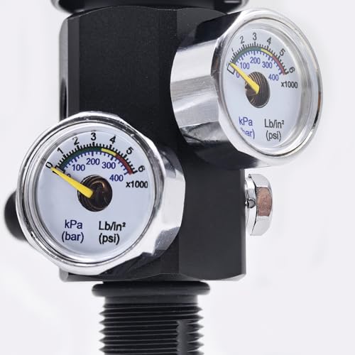 DRYHTEN DIN Ventil Füllstation Adapter 4500psi / 300bar mit 50cm Schlauch Dual Gauge für das Laden Scuba Tank Paintball PCP Airsoft Tauchen HPA Zylinder (5/8\-18UNF)