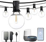 Banord Smart Outdoor String Lights, G40 50FT Waterproof Patio Lights with Alexa Control, Dimmable Ha