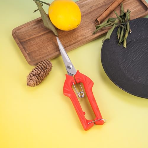 Tijeras de jardín con mango rojo y acero inoxidable miniatura 2
