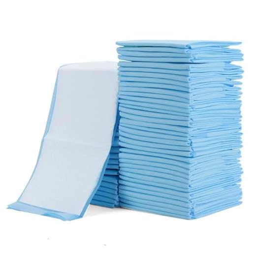 Rocinha 100 Pack Disposable Changing Pads Baby Disposable Underpads Waterproof Diaper Changing Pad Breathable Underpads Bed Table Protector Mat, 17 Inches x 13 Inches