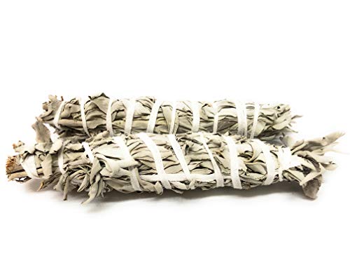 White Sage Smudging Stick - Large (8'-9.5') - 2 Pack