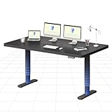FLEXISPOT Höhenverstellbarer Schreibtisch (runde Tischbeine) – Premium-Arbeitsfläche 160×80 cm, eleganter Design-Stehschreibtisch mit leisem Motor und Memory (Schwarz + Schwarz)