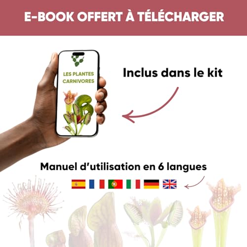 NOPALIA® Premium Fleischfressende Pflanzen-Set – Dionaea, Darlingtonia & Sarracenia – Komplettes Set mit Gewächshaus, Töpfen, Torf & Sphaigne – Ungewöhnliches & Lehrreiches Weihnachtsgeschenk – DIY