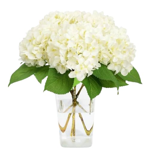 DECOALIVE | Ramo Hortensia Blanca | Bouquet 10 Flores | Hortensias Blancas Naturales y Frescas