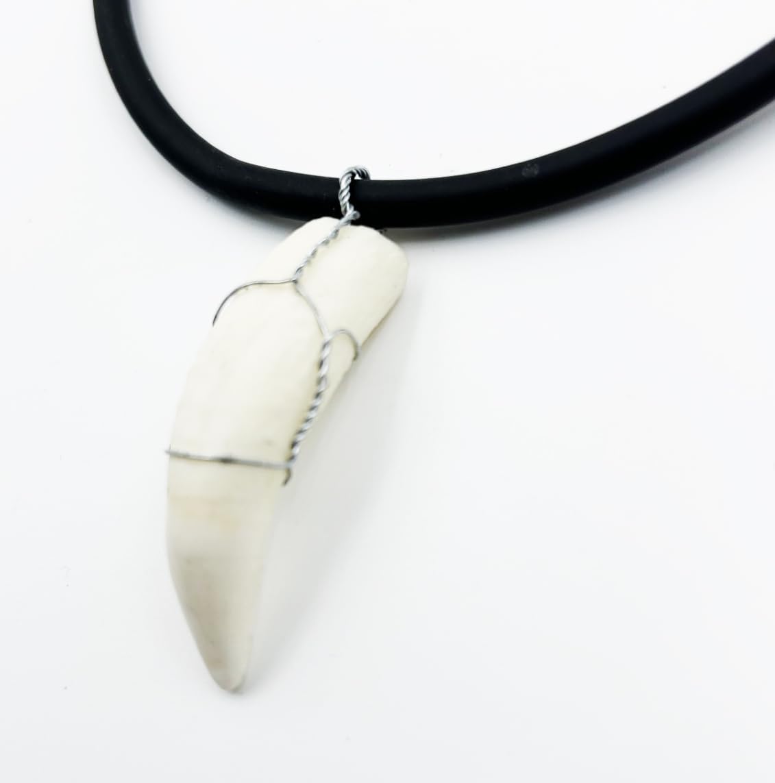 Alligator Tooth Necklace Monster Gator New Orleans Louisiana Cajun Creole Voodoo Bayou Genuine