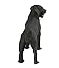 Safari Ltd. Black Labrador Retriever Figurine - Hand-Painted, Lifelike 3.75