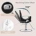 AWEPOPI Salon Chair for Hair Stylist, Reclining Styling Chair with 360° Swivel, Adjustable Height, Hydraulic Heavy Duty Beauty Spa Equipment for Hair Cutting, Shampoo, Tattoo - Black Silver