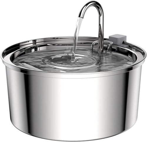 yLoryikarfurzXeX|  LE ybgfBXyT[ EgÏl|v H23