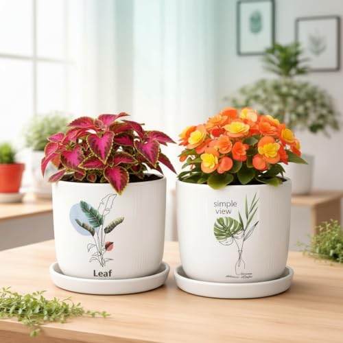 Image of Xtore Aureflora Ceramic Planter with Drainage Tray | Artistic Floral Print Pot for Home, Study Table & Window Decor - (White, 2 Piece, Planter ONLY)