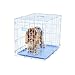 Carlson Blue Secure and Compact Single Door Metal Dog Crate, Small
