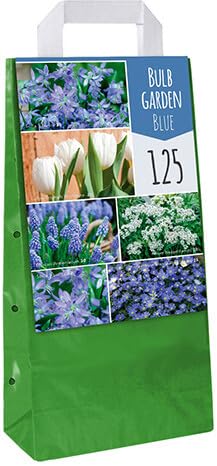 Jub - Mix de 125 Bulbes Bleus pour Le Jardin