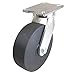 Plate Caster, 4100 lb. Ld Rating, Bk Wheel