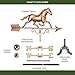 Good Directions Galloping Horse Pure Copper Weathervane, Includes Adjustable Roof Mount for Easy Installation - Hand-Polished Copper