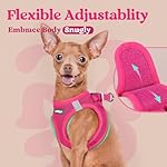 rabbitgoo Small Dog Harness, Step-in Soft Mesh Puppy Vest, Easy Walk with Safety Buckle, Breathable Reflective Pet Harness for Small Sized Dogs, Rose Red M - Image 5