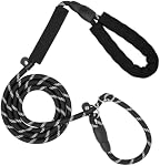 Amrules Dog Leash 6 FT with Comfortable Padded Handle, Training Loop Leash with Highly Reflective Threading for Medium Dogs, Black