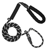 Amrules Dog Leash 6 FT with Comfortable Padded Handle, Training Loop Leash with Highly Reflective Threading for Medium Dogs, Black