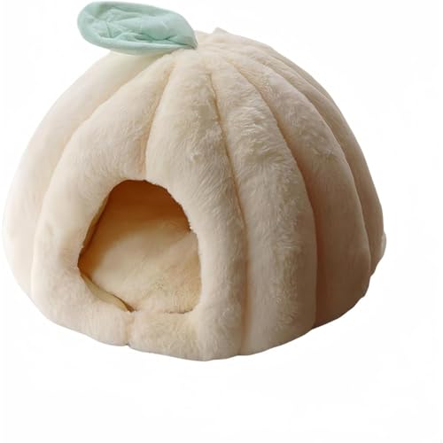 WhiteForest LnEX ~p Lpxbh L h[^ xbh  p ybgpQ ۉh  _炩  ~ ^ Lbg lC p xe QNbVt (XL50cm,x[W)