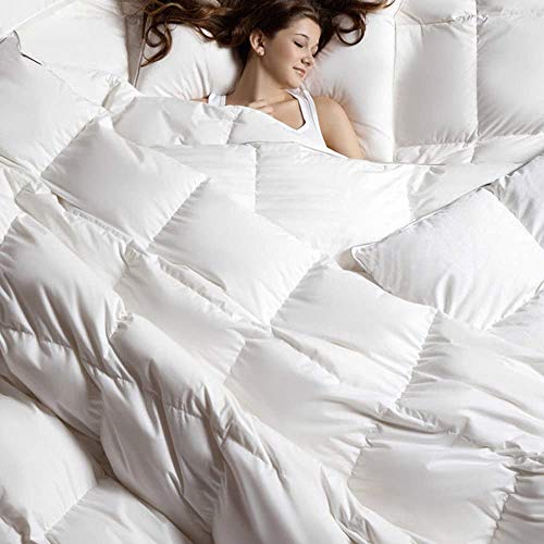 C&W Luxurious Siberian White Goose Down Comforter Queen Size Duvet Insert Heavywarmth Winter
