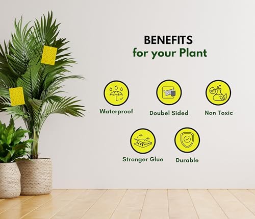 Image of Chipku Yellow Non Toxic Chemical Free Sticky Fly Trap Pads for Insects, Whiteflies, Aphids, Leaf Miner & Thrips (Yellow) (Garden Sticky Trap Pack of 10)