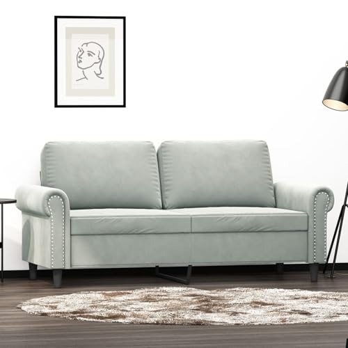 Brokky 2-Sitzer-Sofa Couch 2 Sitzer Loveseat Sofas FüR Wohnzimmer Sofa Loveseats Hellgrau 140 cm Samt - 359529