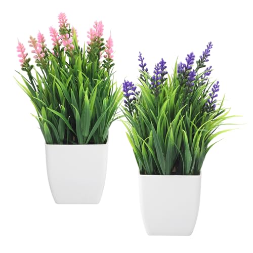 Set e Dimensioni Perfetti: Set di 2 piantine finte decorative con vasetto in mini vaso bianco (altezza totale 22 cm). Ideale come piante finte da interno per decorazioni da tavolo e piccoli spazi