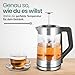 Emerio Glas Teekocher mit Temperaturwahl [50|70|80|90|100°C], WK-122730, Wasserkocher, manuelles Teesieb aus Edelstahl entnehmbar, Borosilikatglas, BPA frei, 1.7l Volumen, 2200 Watt, Silber