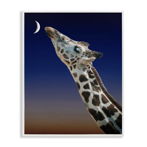 Giraffe Kissing Moon Nighttime Sunset, 24 x 30 Inch Framed Giclée Print