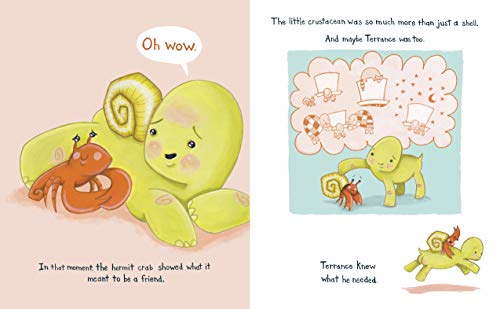 The Box Turtle #TOP5