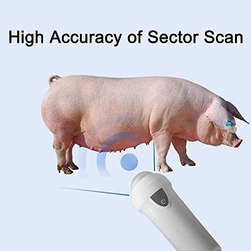 Analizzatore veterinario di ultrasuono con la sonda convessa da 3,5 megahertz per imaging diagnostico del bestiame