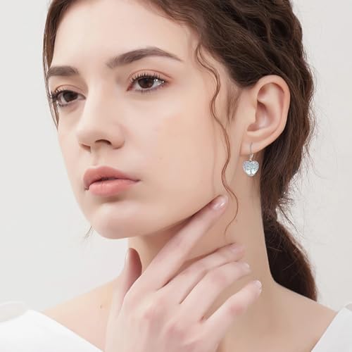 A pair of 925 Sterling Silver Drop Earrings - Elegant Vintage Style Moonstone Teardrop Dangle Earrings, Perfect for Daily Wear or Gifts2