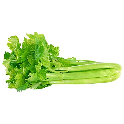 Audbhidhi Celery Organic Herbs Seeds For Terrace Kitchen & Home Gardening (Pack of 50 Seeds) (B0BD84KHC1) Amazon Price History, Amazon Price Tracker