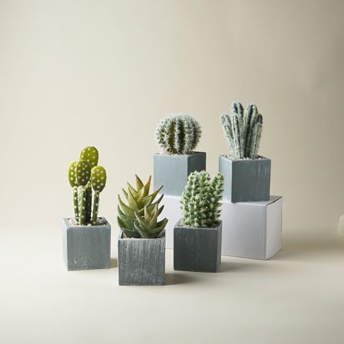 Petites plantes succulentes réalistes pour décorer une table de salon - 7