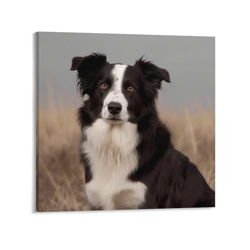 Impression sur toile border collie et cadre moderne abstrait 60 x 60 cm