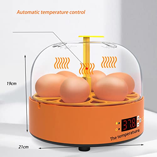 FAPCW Brütmaschine, automatischer Eierbrutkasten, Heimbrutkasten mit automatischer Temperatur, Bauernhof-Eierbrutkasten… – Bild 6