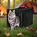Wiltec Faltbare Transportbox für Hunde, Katzen S (42x36x41 cm), robust, leicht, sicher, Hundebox mit entnehmbarem Kissen, Schwarz