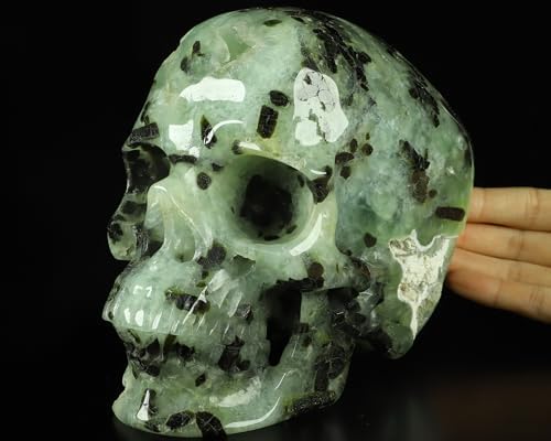 LIFESIZED Gemstone 6.7" Prehnite Carved Crystal Skull,Super Reali...
