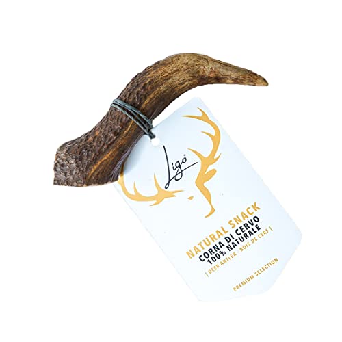 Ligo Corna di Cervo per Cani 100% Naturale Masticare Giocattolo Osso. Taglia S | 50-79 g