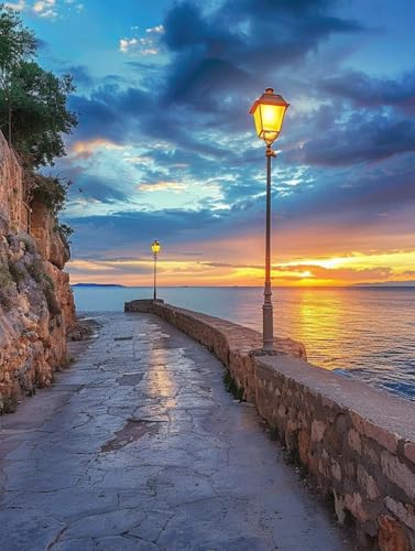 Kit Peinture Diamant DIY : Un Cadeau Créatif Idéal pour Adultes