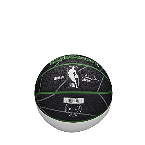 Image of WILSON NBA Team Autograph Mini Basketball - Boston Celtics