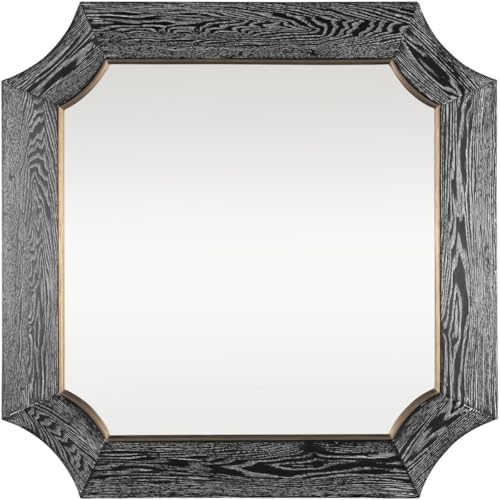Square Wall Mirror-36 Inches Tall And 36 Inches Wide-Cerused Black/Weathered Brass Finish Varaluz Lighting 449Mi36a