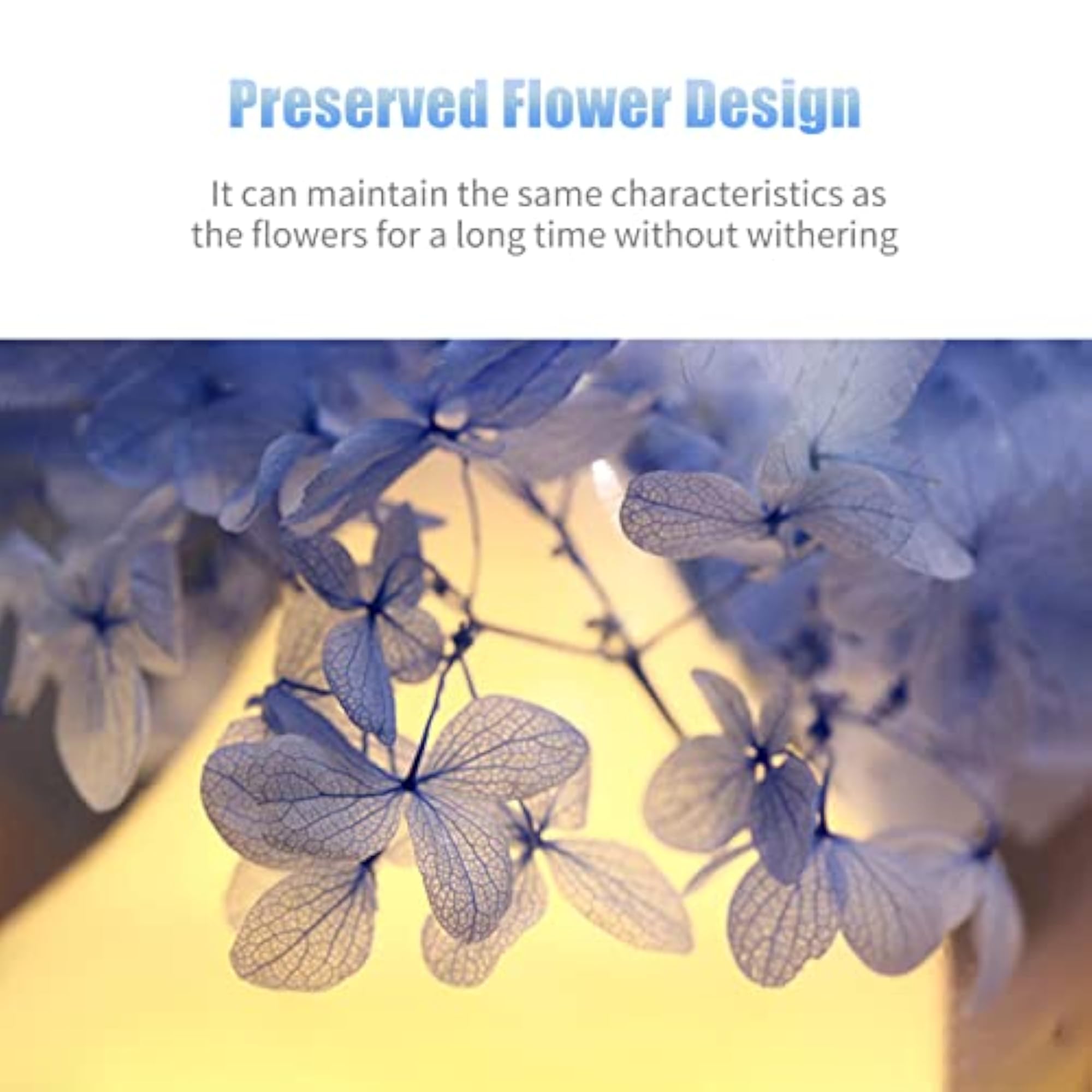 Ubersweet Preserved Flower Diffuser with 7-Color Night Light