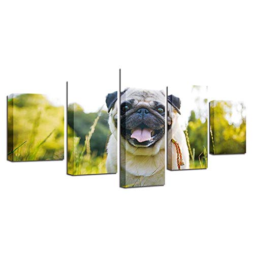 Tableau mural sur toile Shar Pei pour habiller un grand mur blanc vide