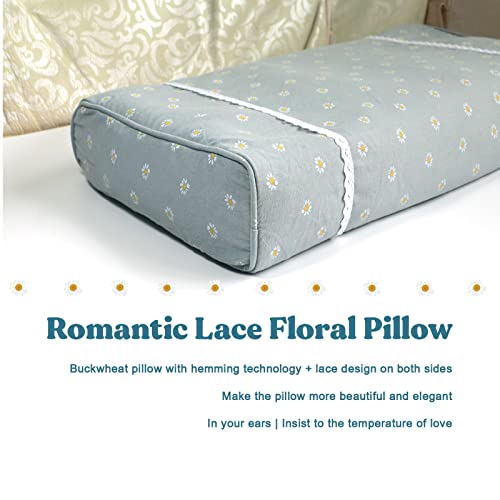 Cavogue Lumbar Support Pillow For Bed Buckwheat Square Pillows For Side Sleepers And Shoulder Neck Pain, Cube Cervical Pillow With Rectangle Pillow Cover (12X22 Inch, Gray) #TOP2