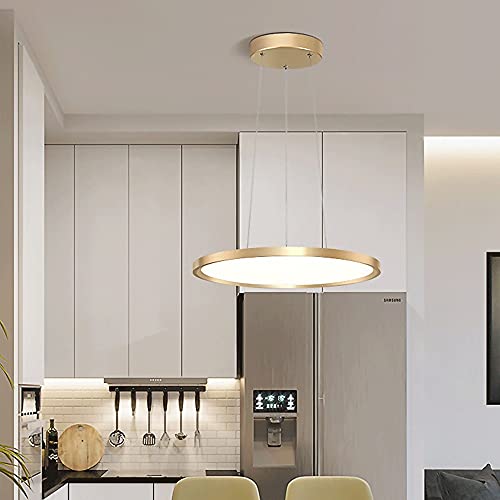 Lámpara colgante de disco acrílico para renovar techos con luz moderna 4